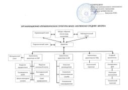 Организационная структура МАОУ "Мулянская средняя школа"